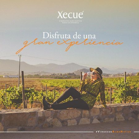Отель Vinos Xecue Энсенада Экстерьер фото