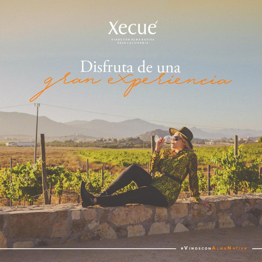 Отель Vinos Xecue Энсенада Экстерьер фото